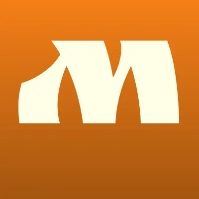 Мистер Веник, клининговая компания, лого-визитка